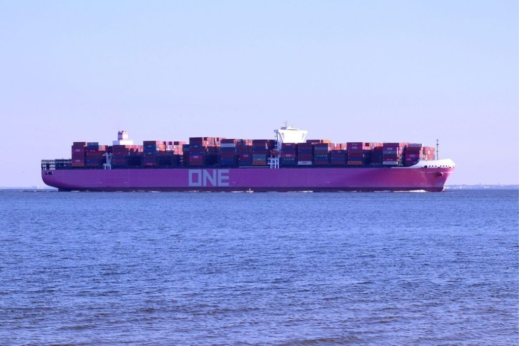 Ocean Network Express Ship - Image for Representation purpose only