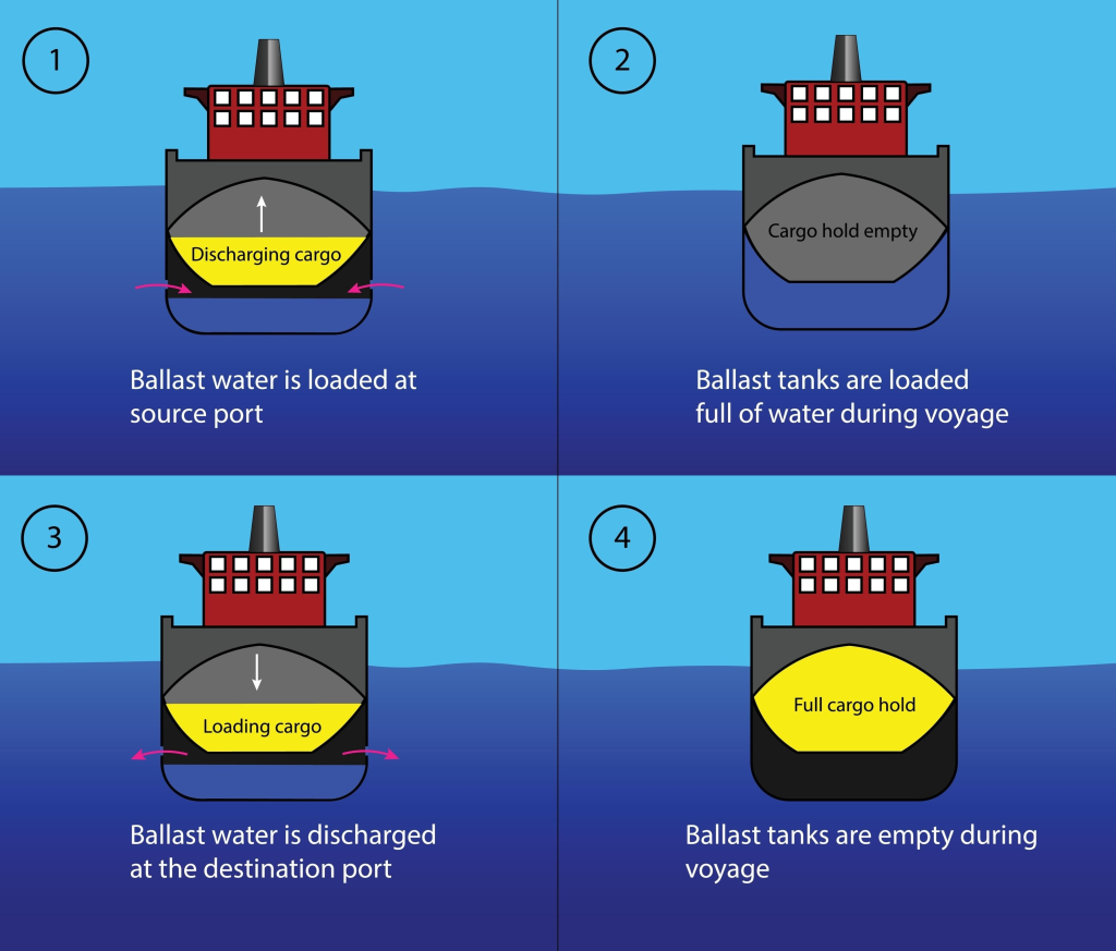 Image- How Ballast Water Works