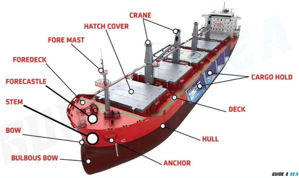 A detailed view of a bulk carrier’s design, showing cargo holds, ballast tanks, deck, hatch covers, engine room, and bridge for safe and efficient operations